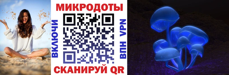 Псилоцибиновые грибы GOLDEN TEACHER  Нестеров 